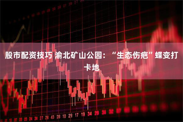 股市配资技巧 渝北矿山公园：“生态伤疤”蝶变打卡地