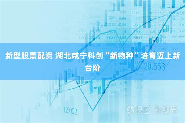 新型股票配资 湖北咸宁科创“新物种”培育迈上新台阶