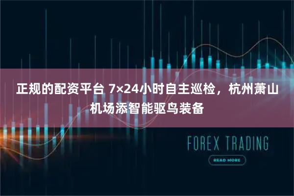 正规的配资平台 7×24小时自主巡检,杭州萧山机场添智能驱鸟装备